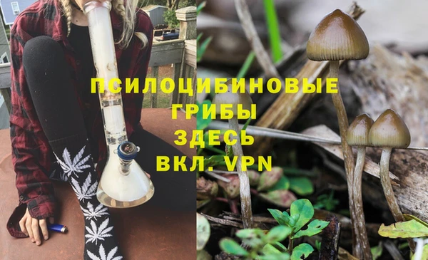 спиды Балабаново