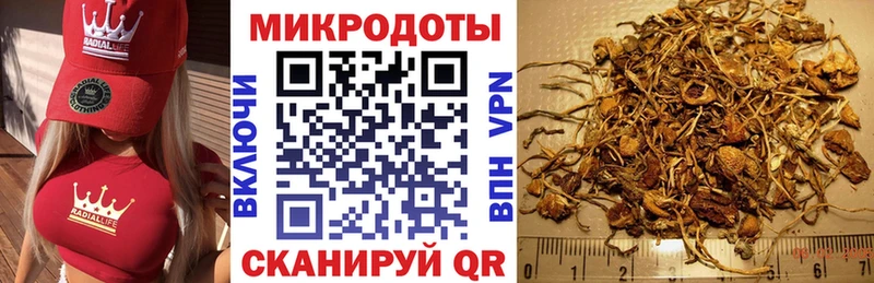 Галлюциногенные грибы MAGIC MUSHROOMS Купить где Данков